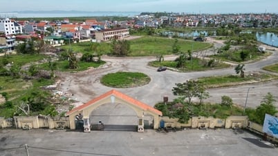 việc đấu thầu dự án Đầm Vuông diễn ra theo đúng trình tự