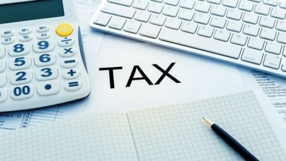 How are corporate income tax losses and loss carryforwards calculated in 2023?