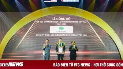 Cathay Life lọt Top 500 Doanh nghiệp lợi nhuận tốt nhất Việt Nam năm 2024