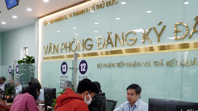 Cục Thuế TP HCM kiến nghị họp khẩn giải quyết hồ sơ đất đai tồn đọng