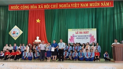 Bình Định: Phấn đấu mỗi năm giảm 2% - 3% số cặp tảo hôn