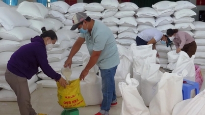 Hỗ trợ người dân hơn 17,7 nghìn tấn gạo trong quý I năm 2024