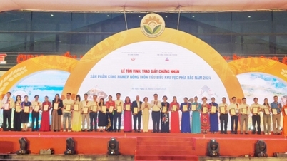 "គាំទ្រ" ការផ្សព្វផ្សាយពាណិជ្ជកម្ម ការពង្រីកទីផ្សារផលិតផលឧស្សាហកម្មជនបទ