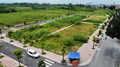 ស្រុក Thanh Oai បន្ត​បញ្ឈប់​ការ​ដេញថ្លៃ​ដី និង​ប្រគល់​ប្រាក់​វិញ