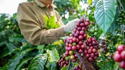 EU 시장 녹색 기준: 베트남 상품에 대한 동기 또는 압력?
