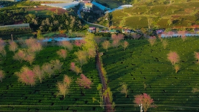 Dalat es el destino más elegido por los turistas vietnamitas el 30 de abril