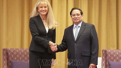 Thủ tướng Phạm Minh Chính tiếp các doanh nghiệp hàng đầu Ba Lan