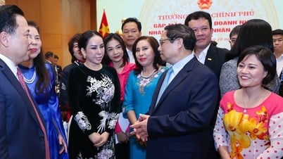 បង្កើត​និង​អភិវឌ្ឍ​ក្រុម​សហគ្រិន​វៀតណាម​ដែល​មាន​សមត្ថភាព​និង​ឋានៈ​អន្តរជាតិ