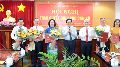Tỉnh ủy Bình Dương trao quyết định bổ nhiệm cán bộ chủ chốt