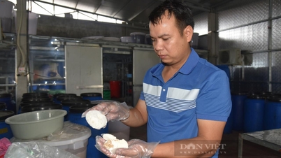 Bỏ việc lương tốt về quê nấu thứ gì mà 8X Quảng Ninh làm nên một sản phẩm OCOP, lãi 70 triệu/tháng