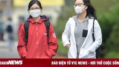 Lịch nghỉ Tết Nguyên đán 2025 các trường đại học trên cả nước