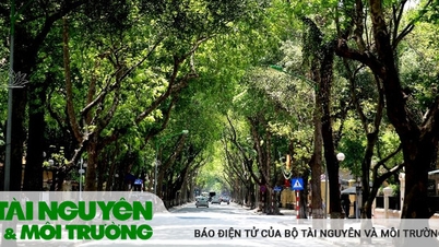 Làm mát đô thị bền vững trước nắng nóng cực đoan