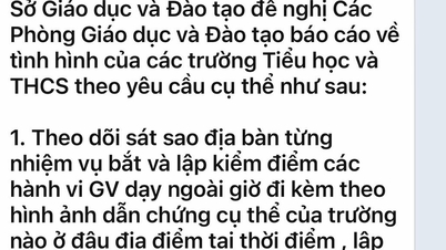 ¿El Departamento de Educación y Formación de Ciudad Ho Chi Minh exige el arresto y la revisión de los profesores que imparten clases extraordinarias?