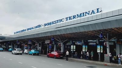 Bố trí xe buýt trung chuyển khách tại sân bay Tân Sơn Nhất, tránh ùn tắc dịp Tết 2025
