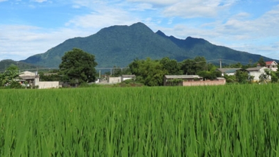 Ba Vì mở đấu giá đất, nhà đầu tư cần lưu ý những gì?