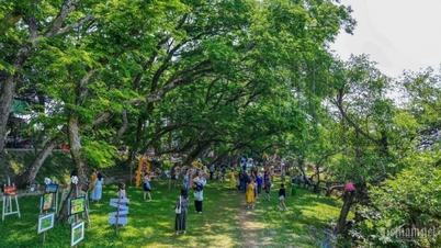 ដើម​សួយ​អាយុ​មួយ​រយ​ឆ្នាំ​ទើប​ត្រូវ​បាន​គេ​ទទួល​ស្គាល់​ជា​បេតិកភណ្ឌ​វៀត​ណាម ទាក់​ទាញ​ភ្ញៀវ​ទេសចរ​ចូល​មក​ទស្សនា។