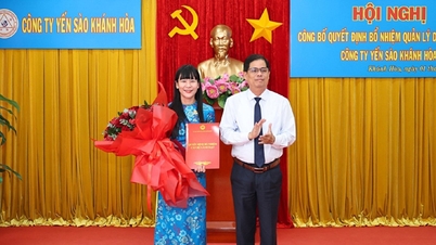 Appointment of Chairman of the Board of Members of Khanh Hoa Salanganes Nest Company