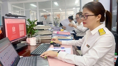 Quản lý thuế đối với các sàn TMĐT xuyên biên giới chưa được cấp phép như thế nào?
