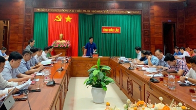 ការអនុវត្តច្បាប់ភូមិបាលឆ្នាំ 2024 ទីក្រុង Dak Lak កំពុងលុបបំបាត់ឧបសគ្គនានាលើផ្ទៃដីកសិកម្ម និងព្រៃឈើរាប់រយពាន់ហិកតា។