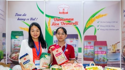 បង្កើនដំណោះស្រាយអភិវឌ្ឍន៍ប្រកបដោយចីរភាពសម្រាប់អង្ករវៀតណាម
