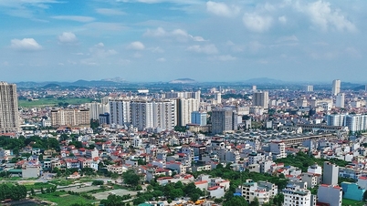 Tỉnh, thành nào có tỷ suất nhập cư cao nhất cả nước?