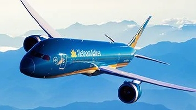 Werben Sie mit Vietnam Airlines