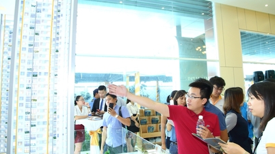 Proposed fine of 160 million VND if doing real estate business but not establishing a business