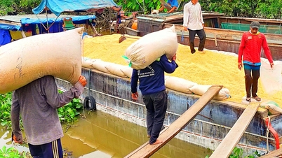 Bản tin thị trường ngày 31/7