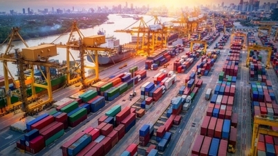 Việt Nam chi gần 7,7 tỷ USD nhập khẩu hàng hóa từ thị trường EU