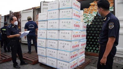 企業が請求書を使って流通品や密輸品を合法化する現象が起きています。