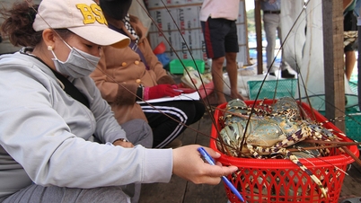 'Thủ phủ' tôm hùm bông lao đao vì ế hàng