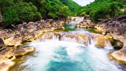 Khe Nuoc Lanh: una belleza salvaje y sorprendente en medio del bosque primigenio de Quang Binh