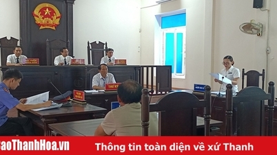 Bài học đắt giá của các nam thanh niên trong vụ án gây rối trật tự công cộng