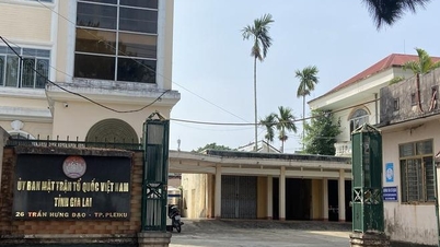 Gia Lai: For letting accountants embezzle Covid-19 prevention funds, Chairman of the Vietnam Fatherland Front Committee was warned