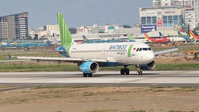 Bamboo Airways bắt đầu có lãi, cần 1.690 tỉ đồng vốn để duy trì hoạt động