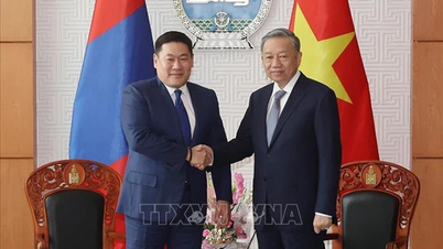Tổng Bí thư, Chủ tịch nước hội kiến lãnh đạo Mông Cổ
