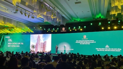 LUMIÈRE Evergreen - The Aura ទាក់ទាញអតិថិជនជាង 1000 ដើម្បីទទួលបានបទពិសោធន៍
