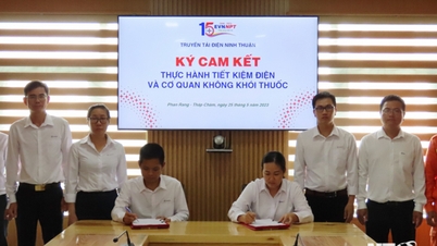 Truyền tải điện Ninh Thuận: Tọa đàm Tháng công nhân, Tháng hành động về an toàn, vệ sinh lao động năm 2023
