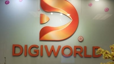 Digiworld បានកំណត់កាលបរិច្ឆេទទូទាត់ភាគលាភសម្រាប់ 2023