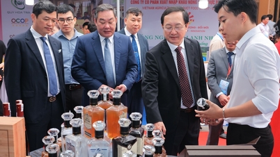 Bảo hộ quyền sở hữu nâng giá trị các sản phẩm chủ lực địa phương