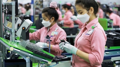 Thúc đẩy hợp tác quốc tế đào tạo nhân lực ngành bán dẫn
