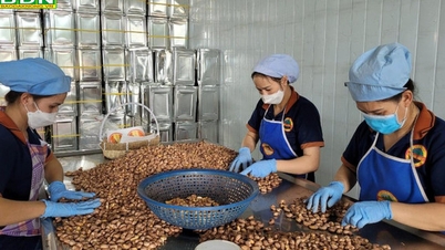 Công nghiệp Đắk Nông và vai trò trụ cột nền kinh tế
