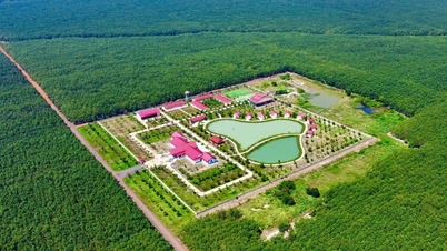 VRG រៀបចំការប្រកួតរូបថតពន្លឺពីស្ទ្រីមមាសស