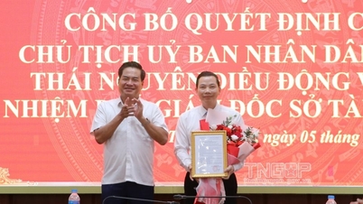 លោក Mai Trong Tan ជាអនុប្រធាននាយកដ្ឋានហិរញ្ញវត្ថុ Thai Nguyen។