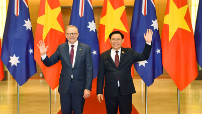 Chủ tịch Quốc hội Vương Đình Huệ hội kiến Thủ tướng Australia Anthony Albanese