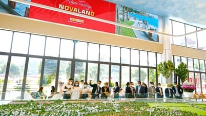 노바랜드 그룹(NVL)은 빈투안성에 430헥타르 규모를 갖춘 추가 리조트 단지에 투자하고자 합니다.