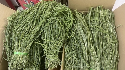 បន្លែ​ស្ងួត​ចិន​លិច​ផ្សារ​តេត ឆ្លង​កាត់​ដៃ​អាជីវករ និង​ក្លាយ​ជា​ទំនិញ​រាជ​ថ្លៃ