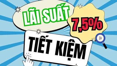 2 ngân hàng có lãi suất tiết kiệm 12 tháng cao nhất thị trường, tới hơn 7,5%