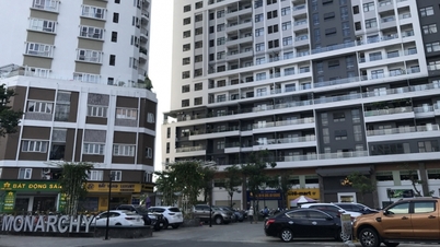 Danang House (NDN) លំហូរសាច់ប្រាក់ Q1 អវិជ្ជមាន 100 ពាន់លាននៅតែកំណត់គោលដៅខ្ពស់សម្រាប់ឆ្នាំ 2023