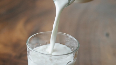 Wenig bekannte gesundheitliche Vorteile von Protein für die Knochen